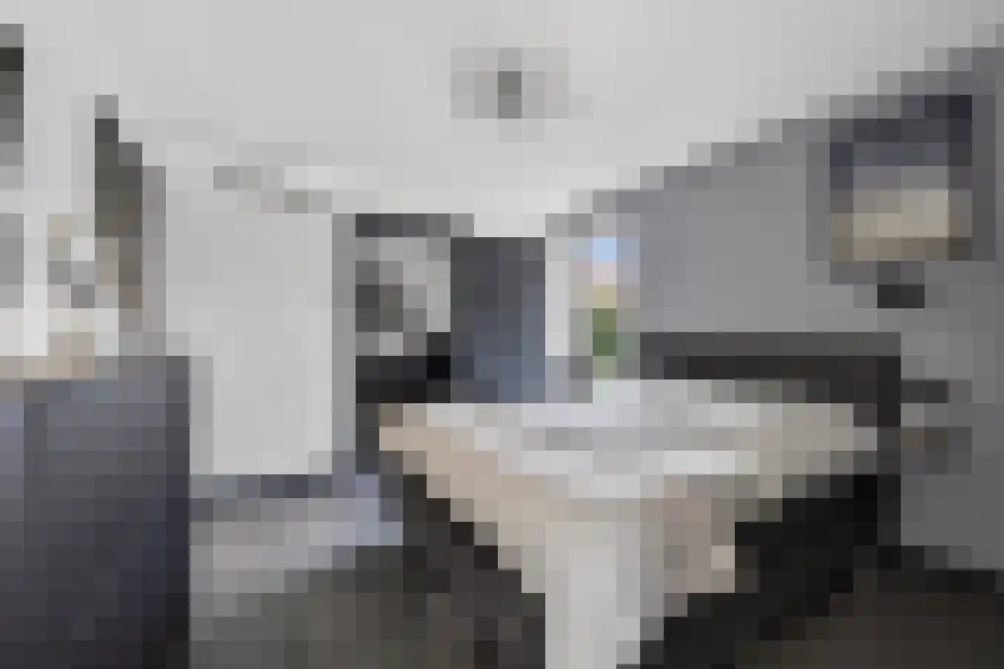 Derksweg 3 Klazienaveen thumbnail 19