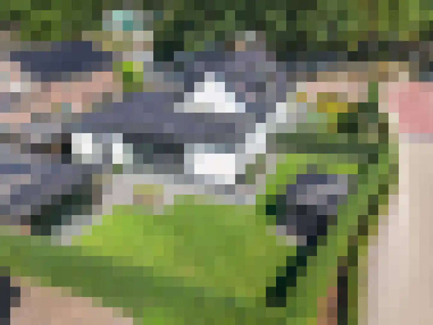 Derksweg 3 Klazienaveen foto 2