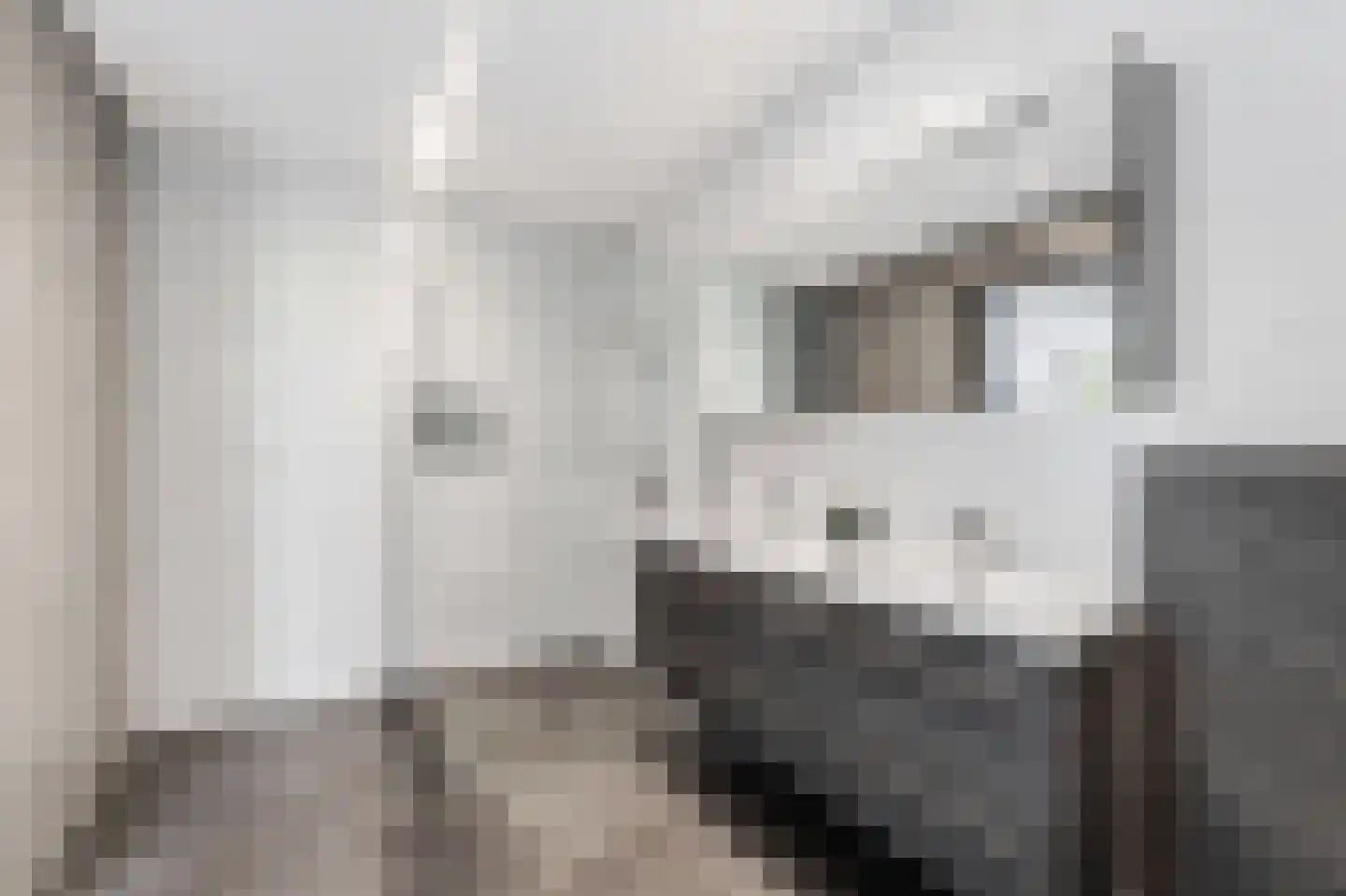 Derksweg 3 Klazienaveen thumbnail 21