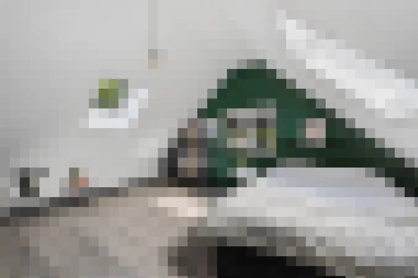 Derksweg 3 Klazienaveen thumbnail 28