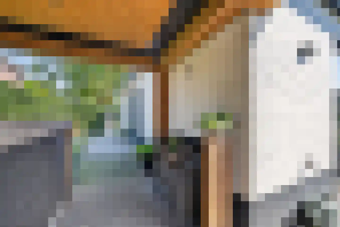 Derksweg 3 Klazienaveen thumbnail 43