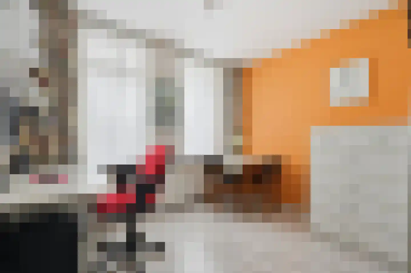 Derksweg 35 Klazienaveen thumbnail 28