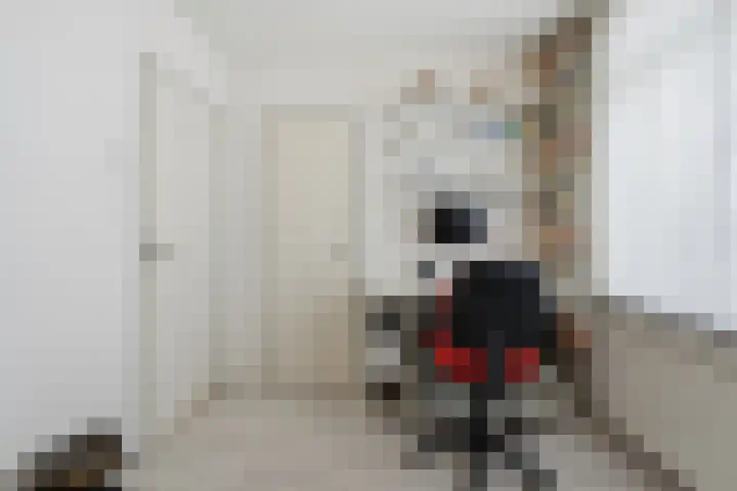 Derksweg 35 Klazienaveen thumbnail 29