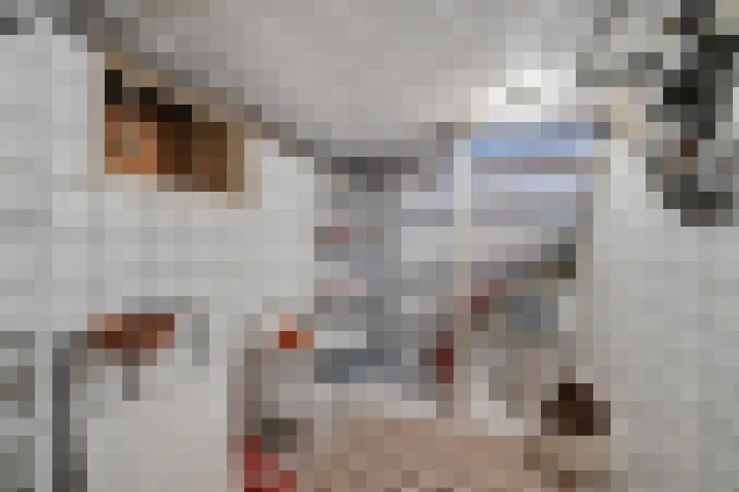 Derksweg 35 Klazienaveen thumbnail 31