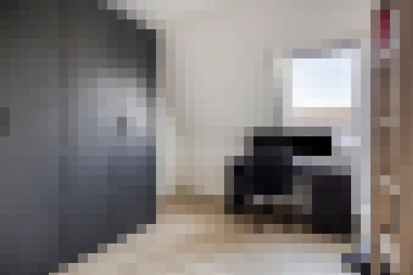 Derksweg 49 A Klazienaveen thumbnail 24