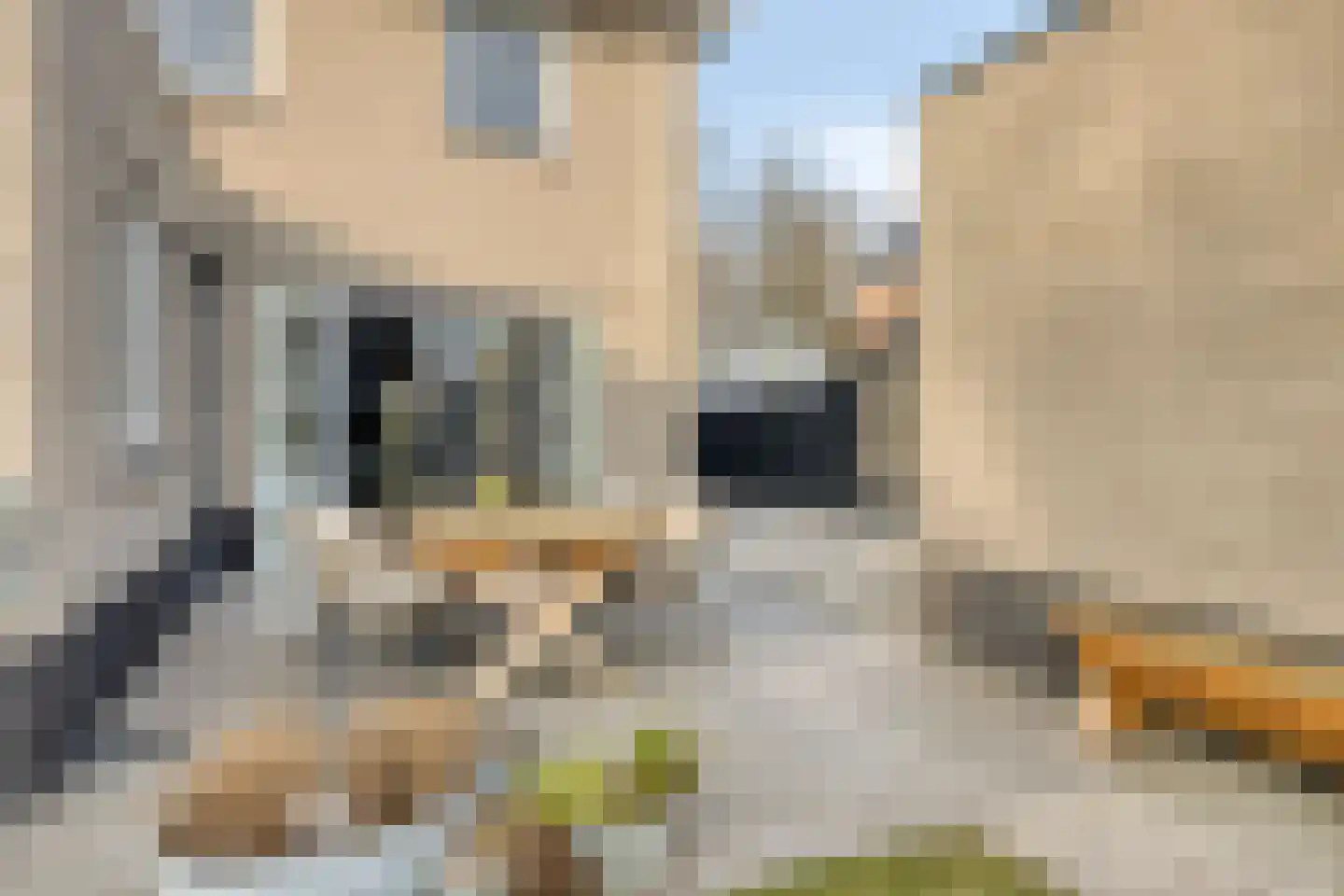 Derksweg 49 A Klazienaveen thumbnail 27