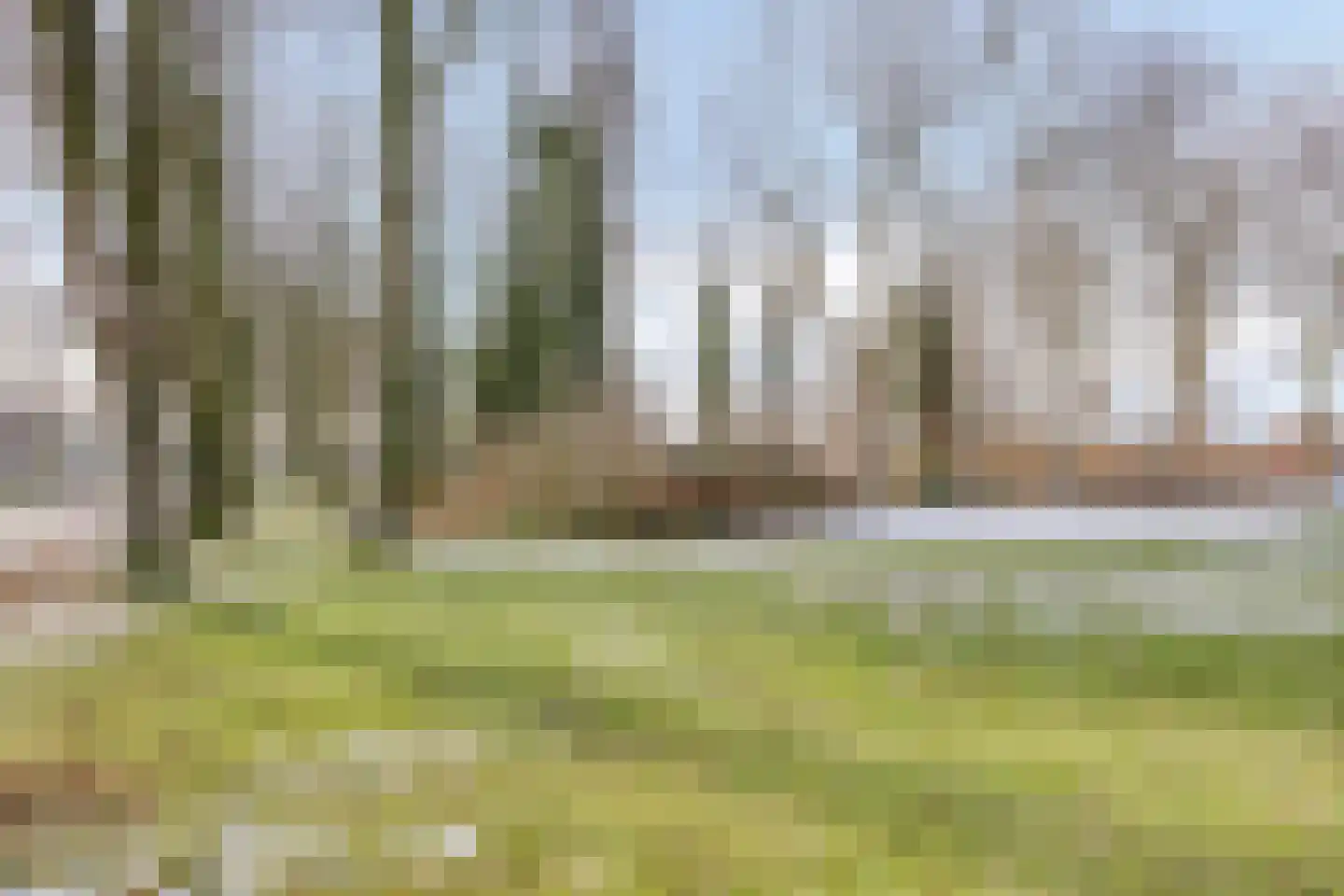 Derksweg 49 A Klazienaveen thumbnail 33