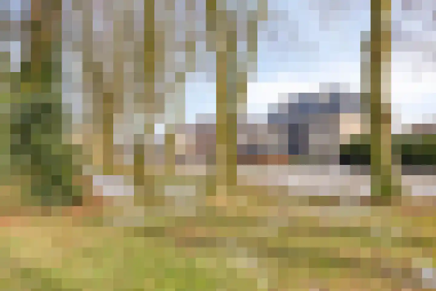 Derksweg 49 A Klazienaveen thumbnail 35