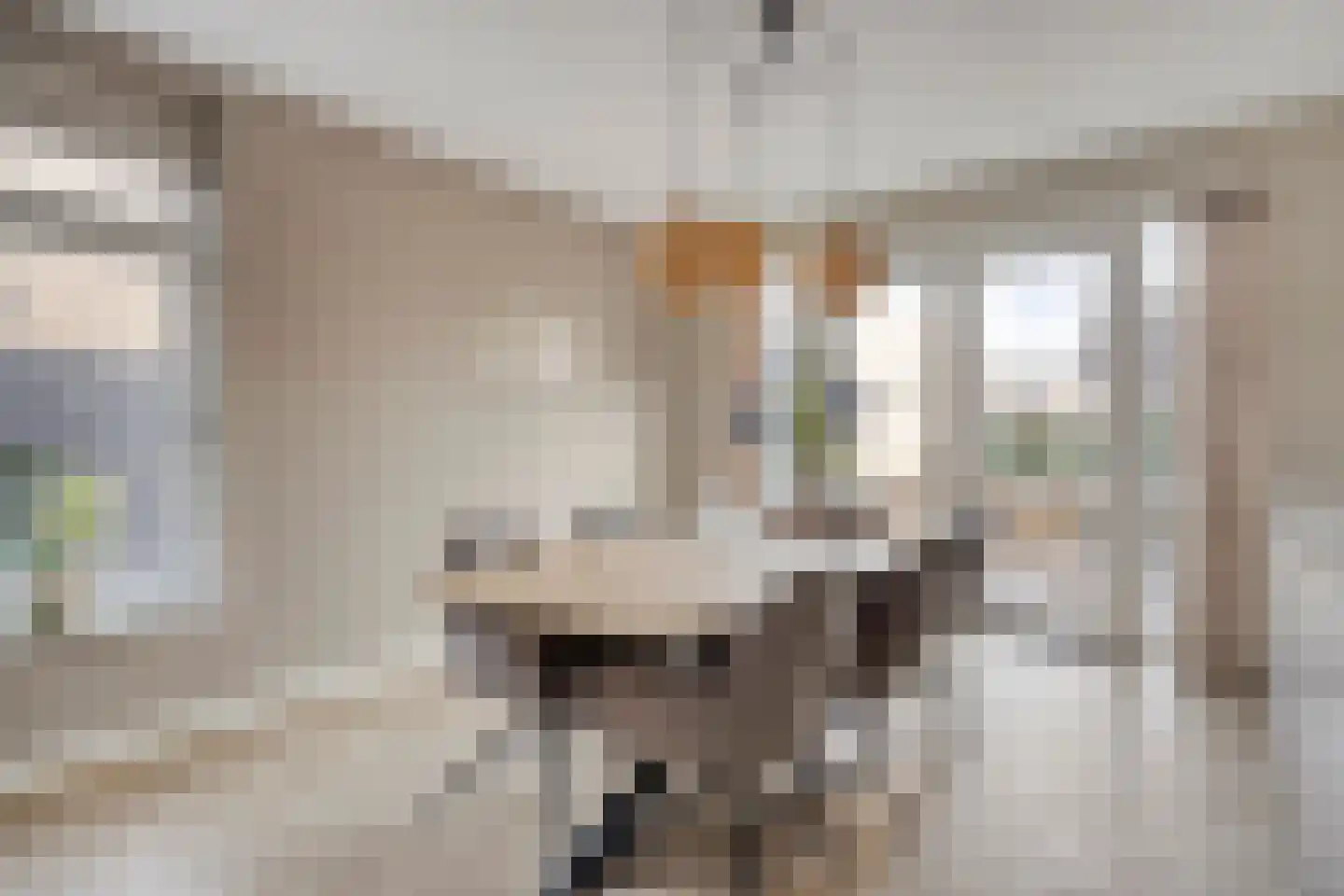 Derksweg 49 A Klazienaveen thumbnail 6