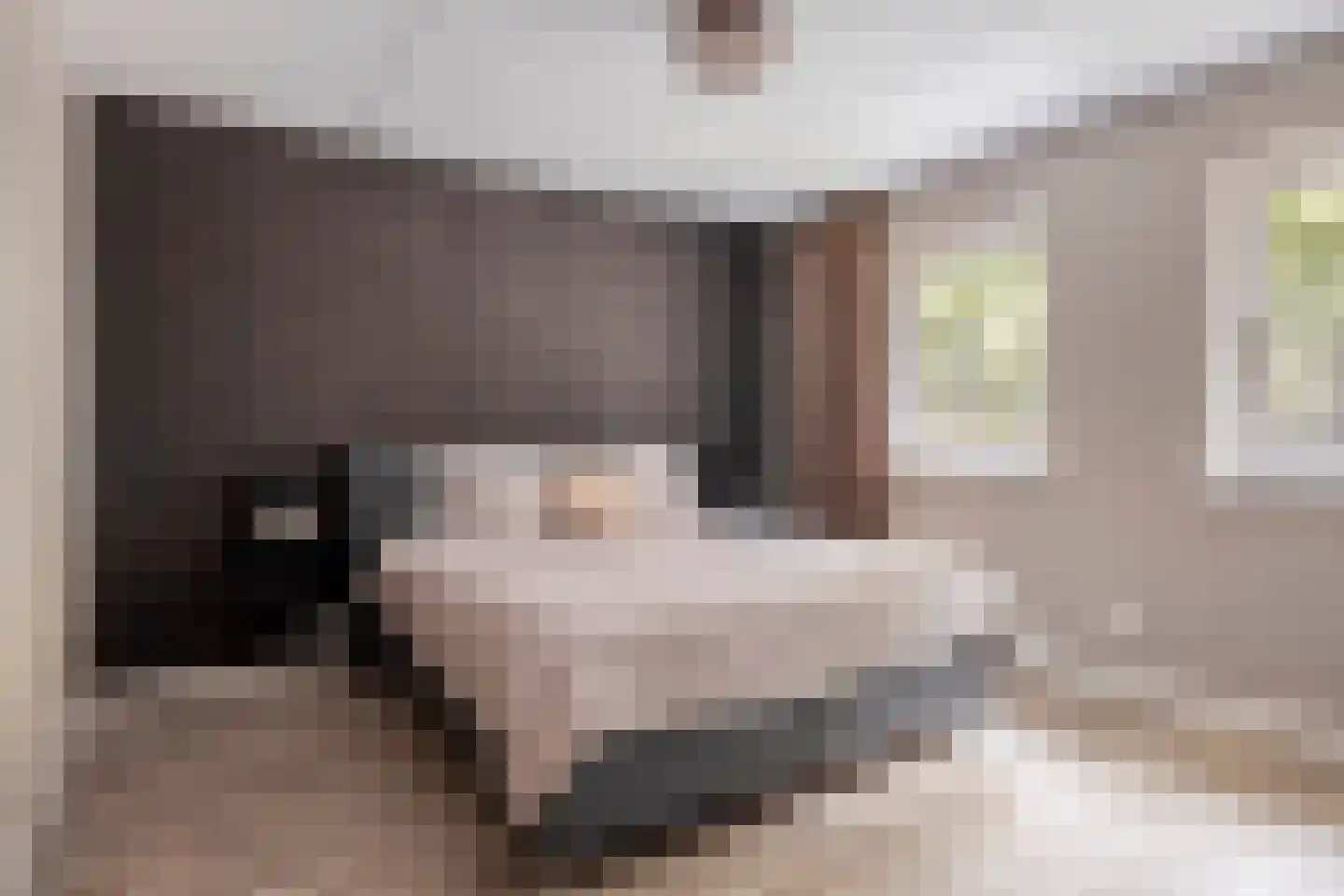 Derksweg 49 B Klazienaveen thumbnail 17