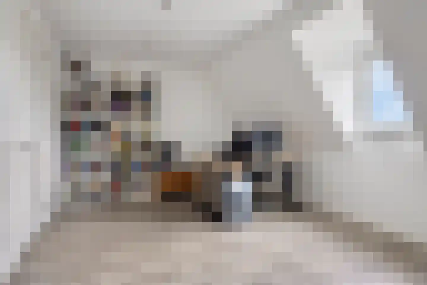 Derksweg 49 B Klazienaveen thumbnail 26