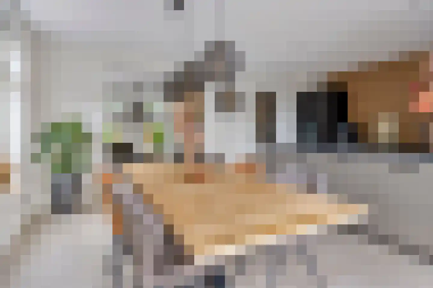 Derksweg 49 B Klazienaveen thumbnail 8