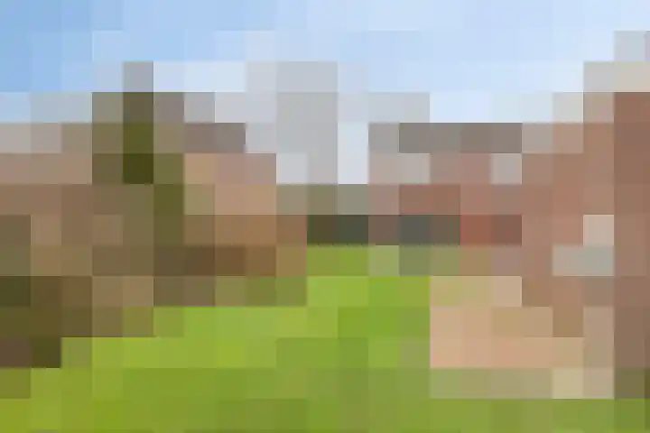 Derksweg 5 Klazienaveen thumbnail 19
