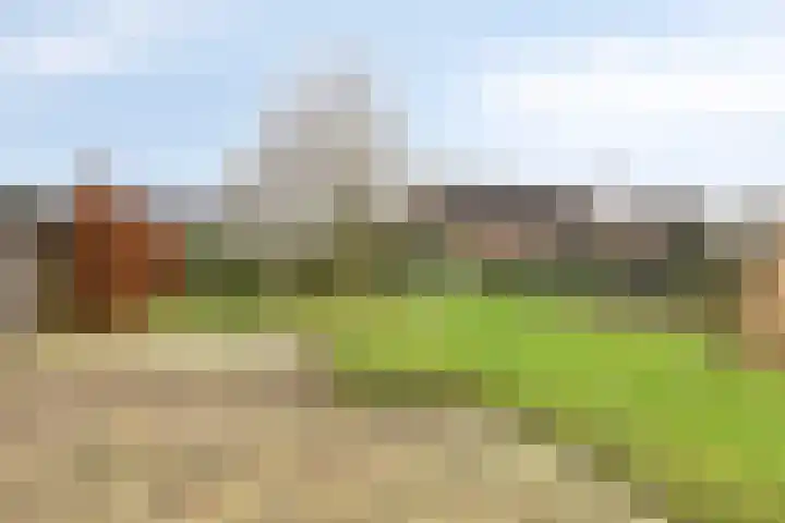 Derksweg 5 Klazienaveen thumbnail 23