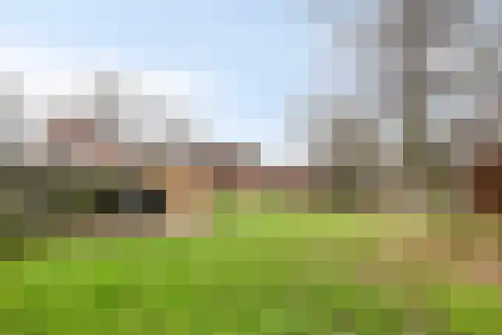 Derksweg 5 Klazienaveen thumbnail 24
