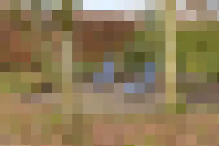 Derksweg 5 Klazienaveen thumbnail 25