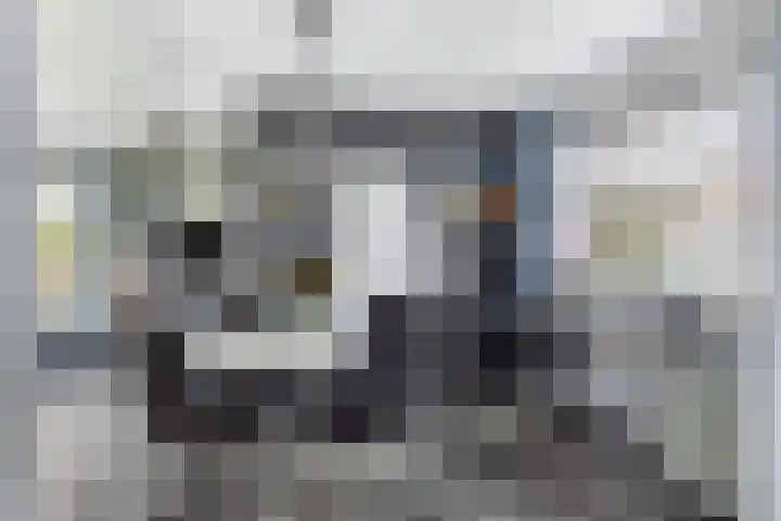 Derksweg 5 Klazienaveen thumbnail 9