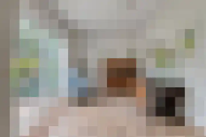 Derpsestraat 28 Deurne thumbnail 11