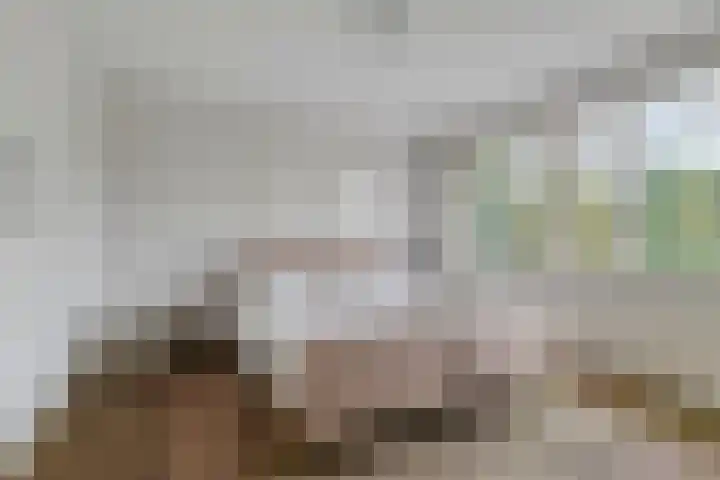 Derpsestraat 28 Deurne thumbnail 15