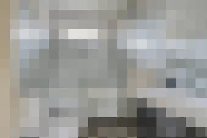 Derpsestraat 28 Deurne thumbnail 17