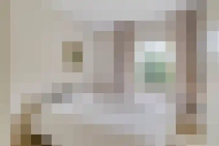 Derpsestraat 28 Deurne thumbnail 18