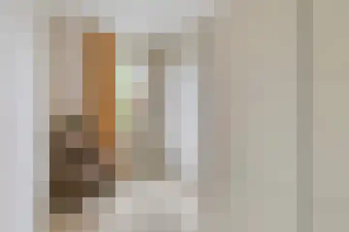 Derpsestraat 28 Deurne thumbnail 20
