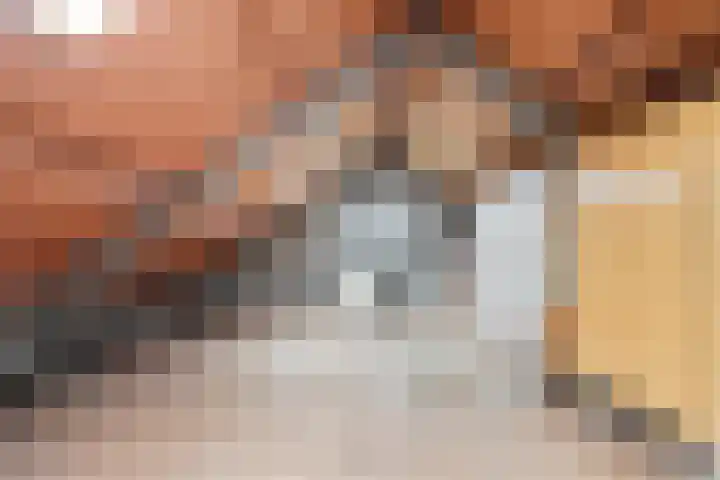 Derpsestraat 28 Deurne thumbnail 21