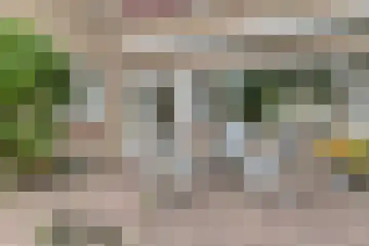 Derpsestraat 28 Deurne thumbnail 22