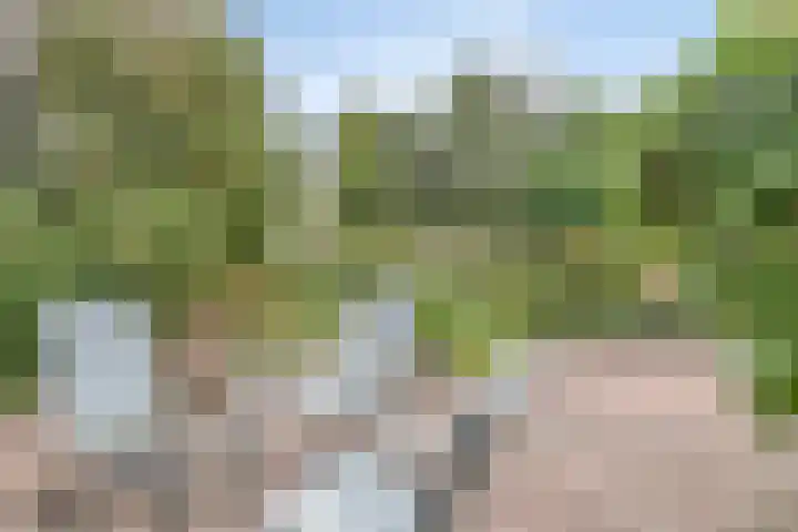 Derpsestraat 28 Deurne thumbnail 23