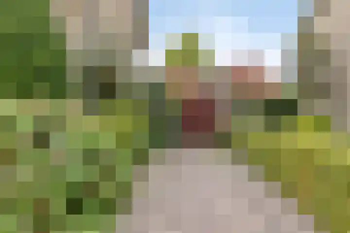 Derpsestraat 28 Deurne thumbnail 24