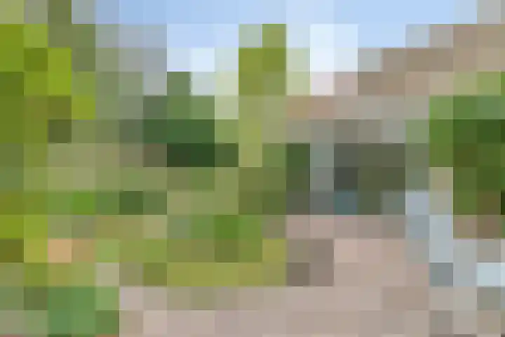 Derpsestraat 28 Deurne thumbnail 25