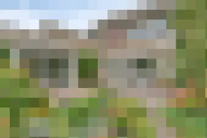 Derpsestraat 28 Deurne thumbnail 26