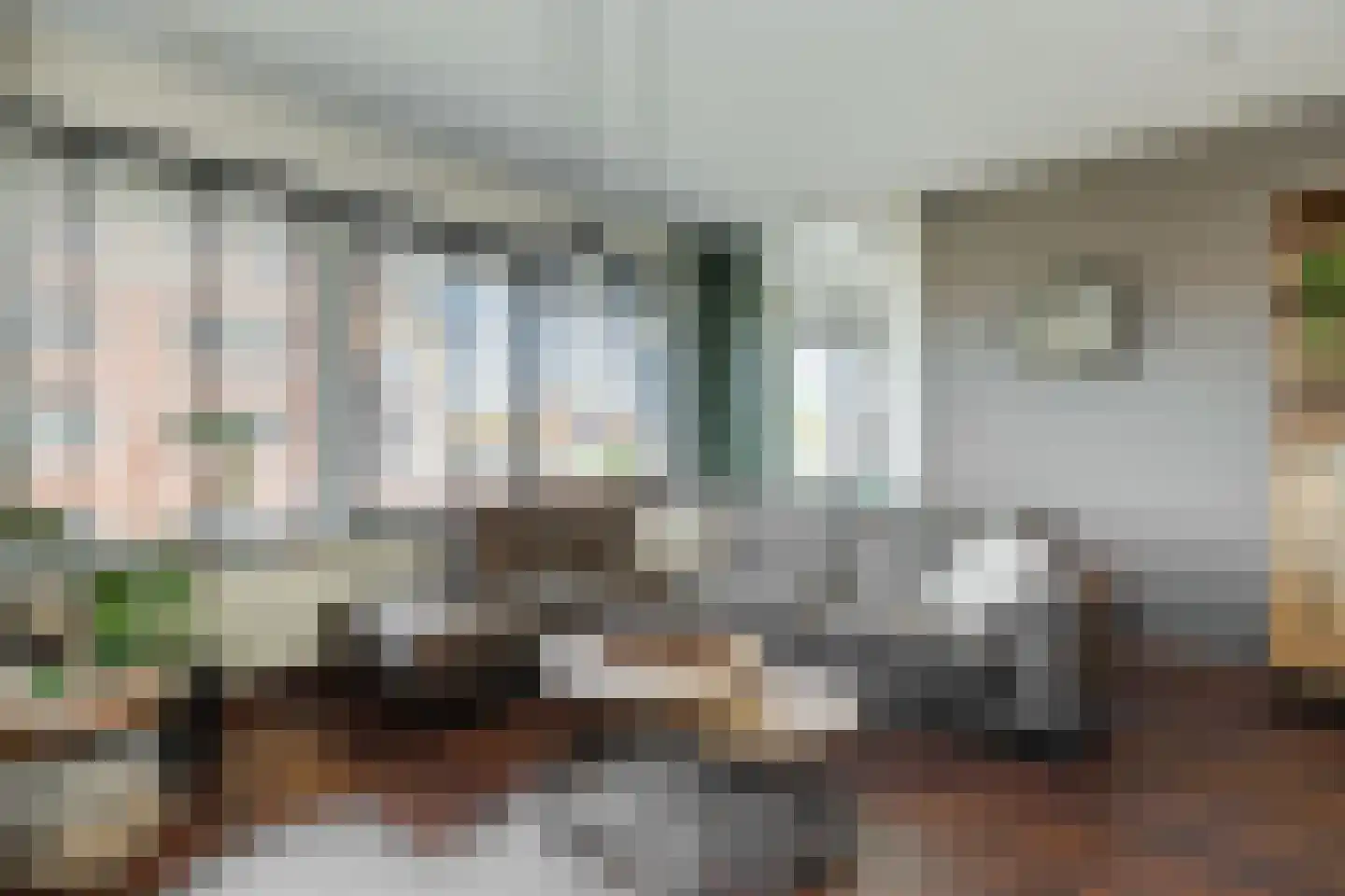 Derpsestraat 64 Deurne thumbnail 12