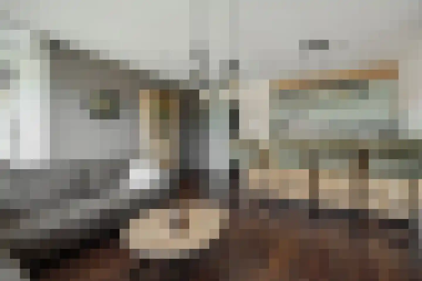 Derpsestraat 64 Deurne thumbnail 17