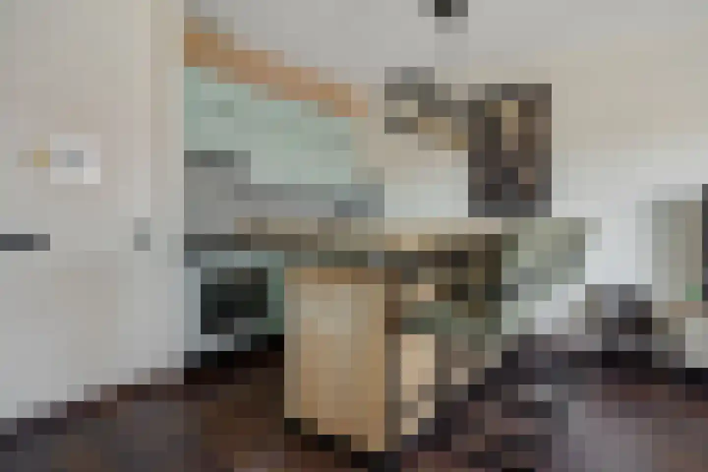 Derpsestraat 64 Deurne thumbnail 18