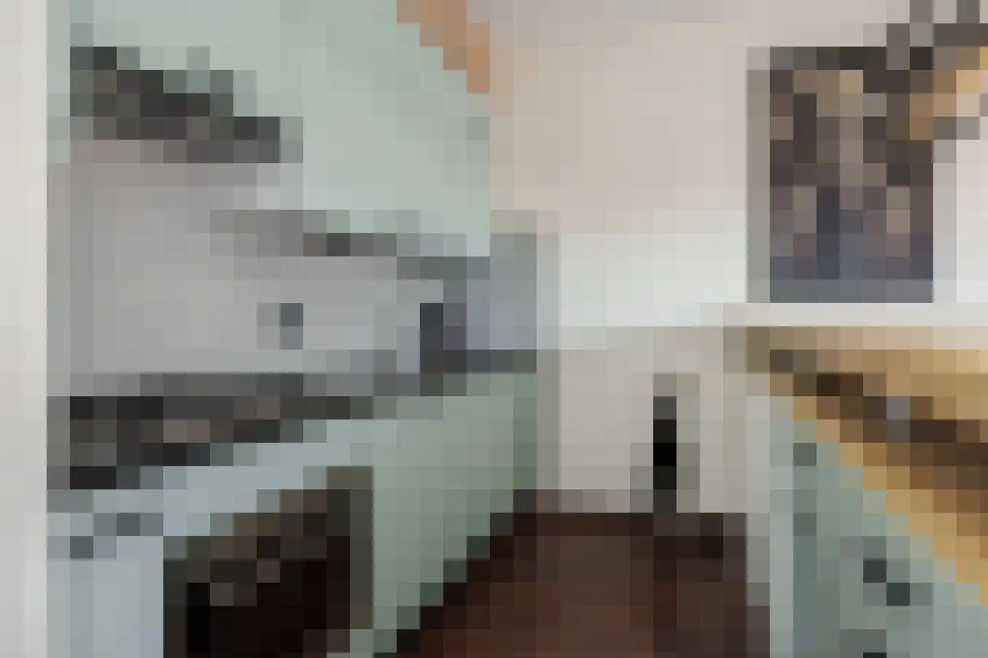 Derpsestraat 64 Deurne thumbnail 19
