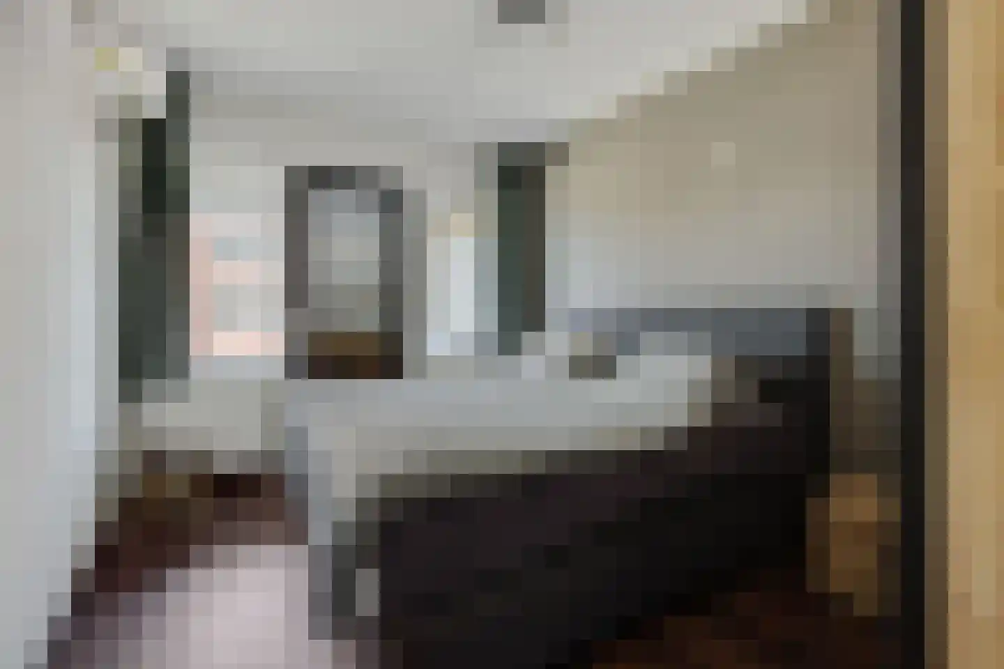 Derpsestraat 64 Deurne thumbnail 21