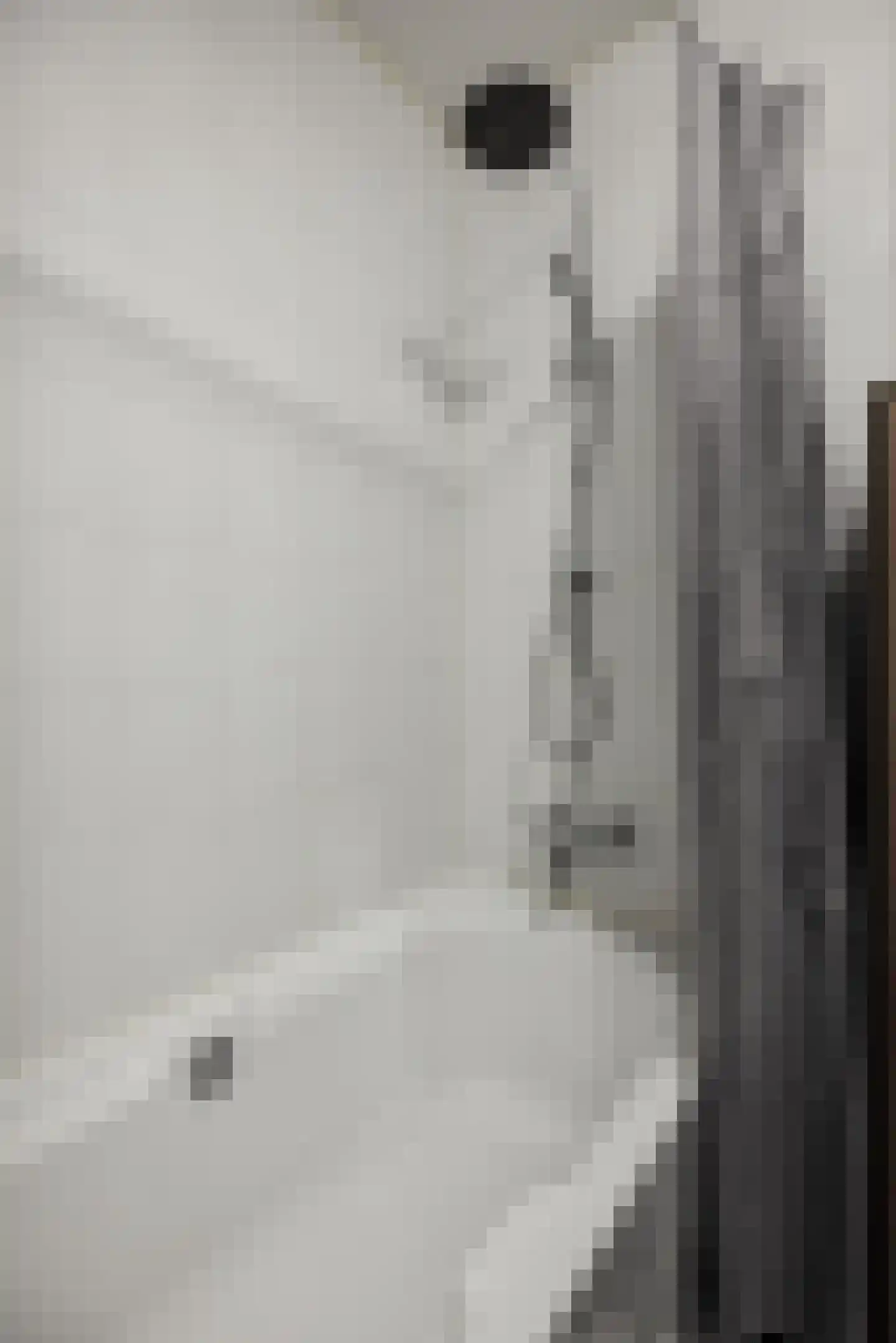Derpsestraat 64 Deurne thumbnail 24