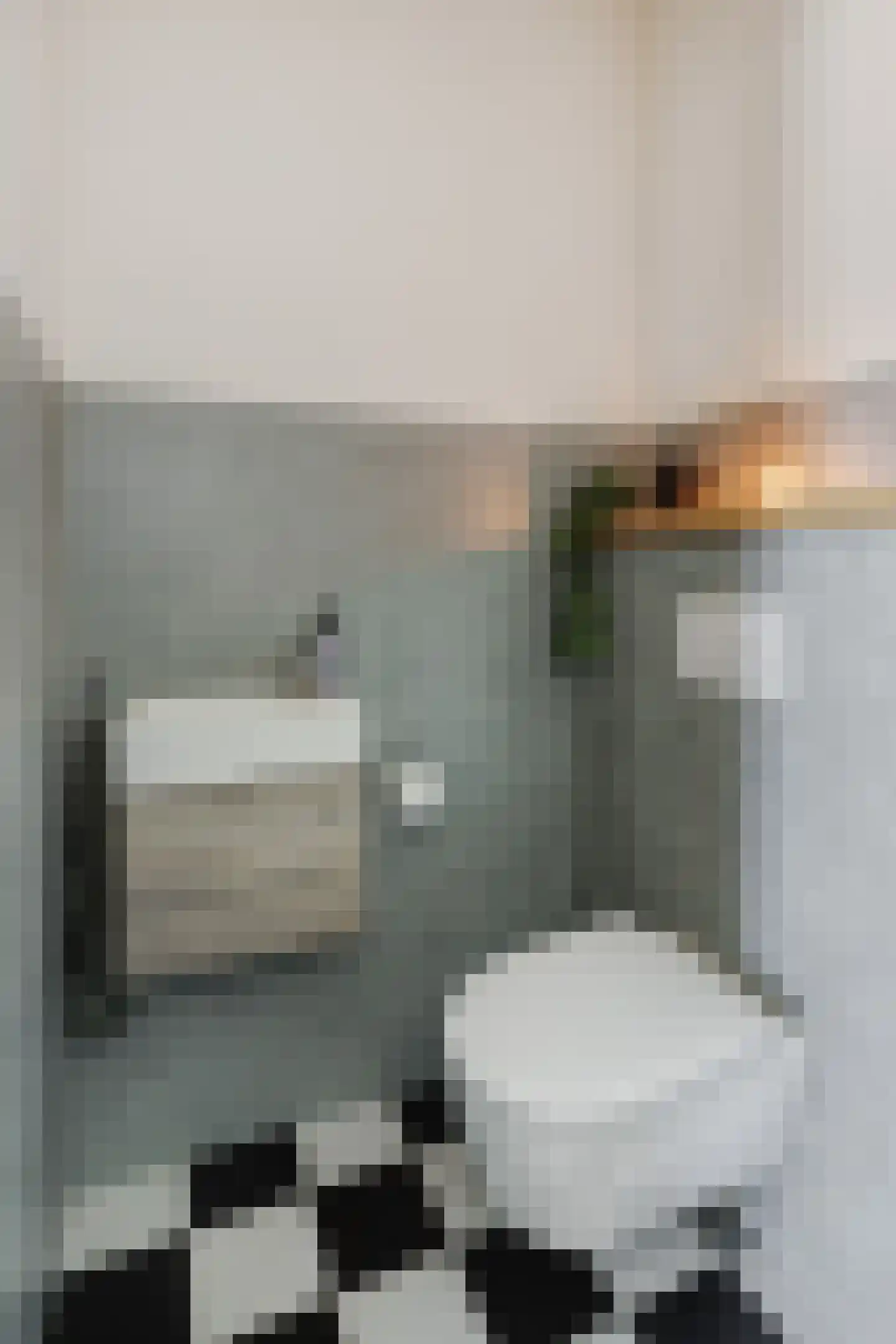 Derpsestraat 64 Deurne thumbnail 25