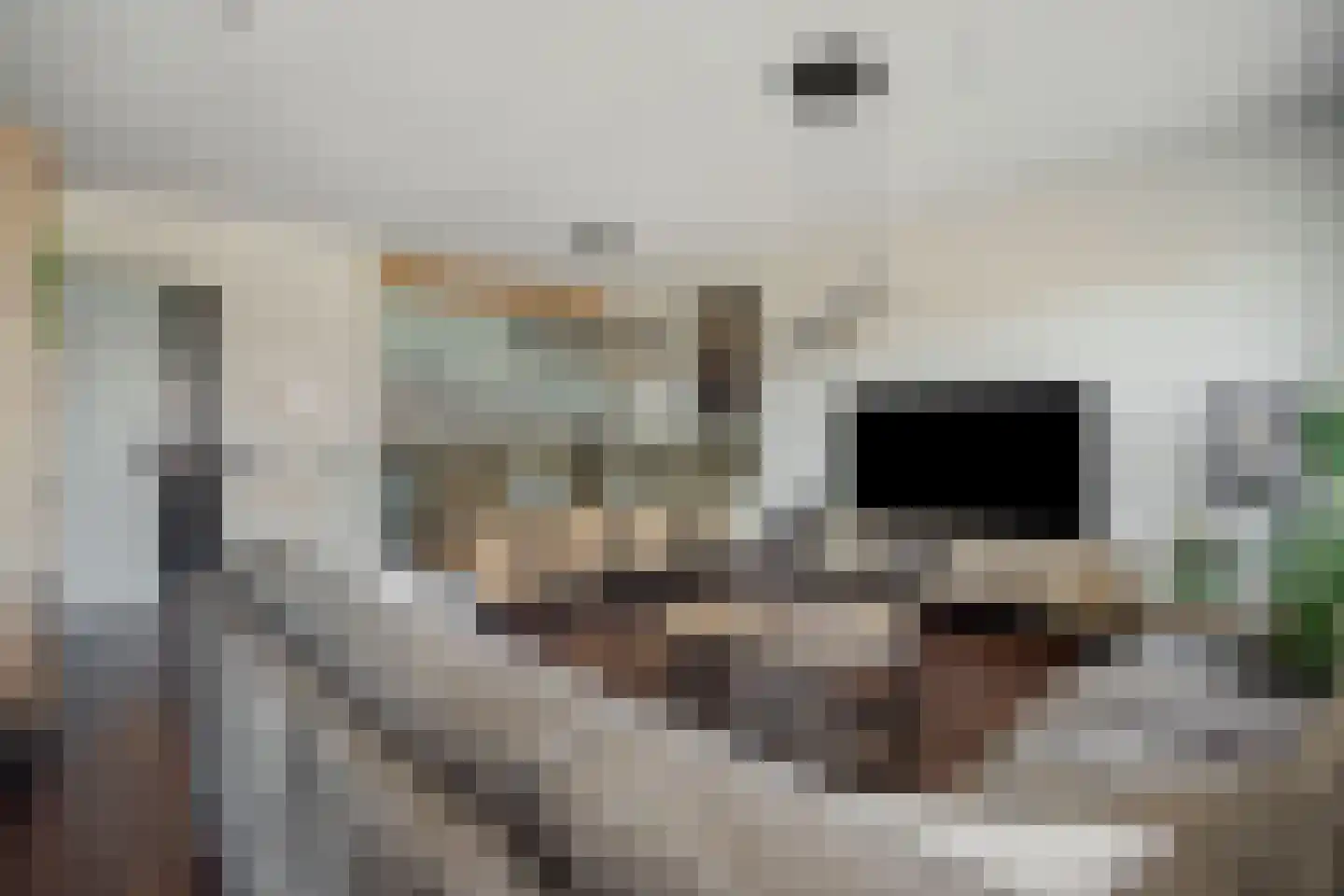 Derpsestraat 64 Deurne thumbnail 4