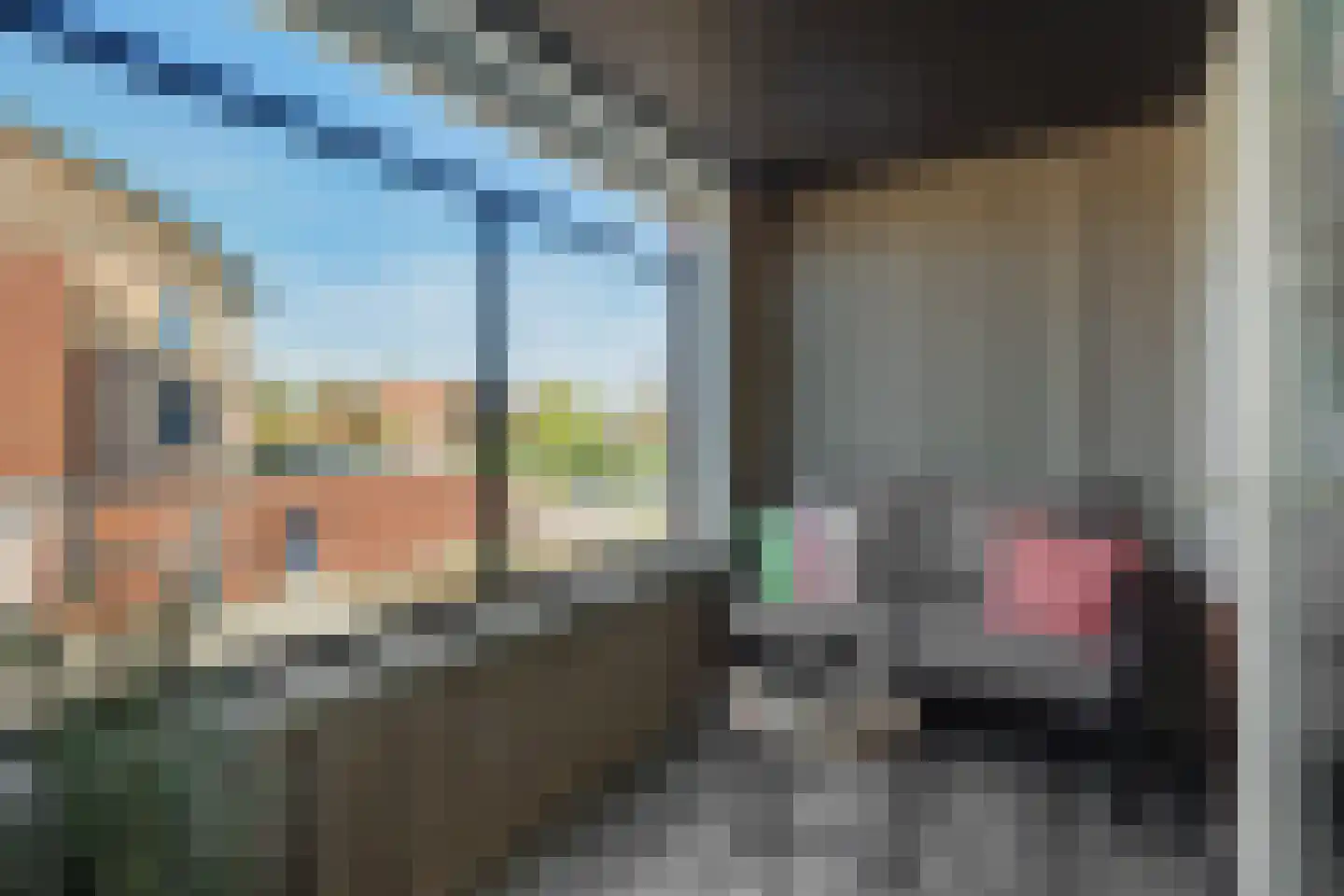 Derpsestraat 64 Deurne thumbnail 5