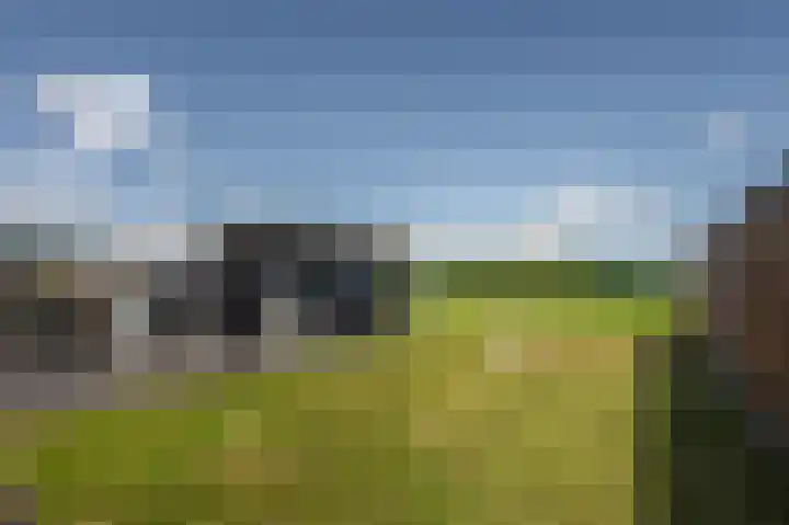 Derrienk 4 A Biggekerke thumbnail 13