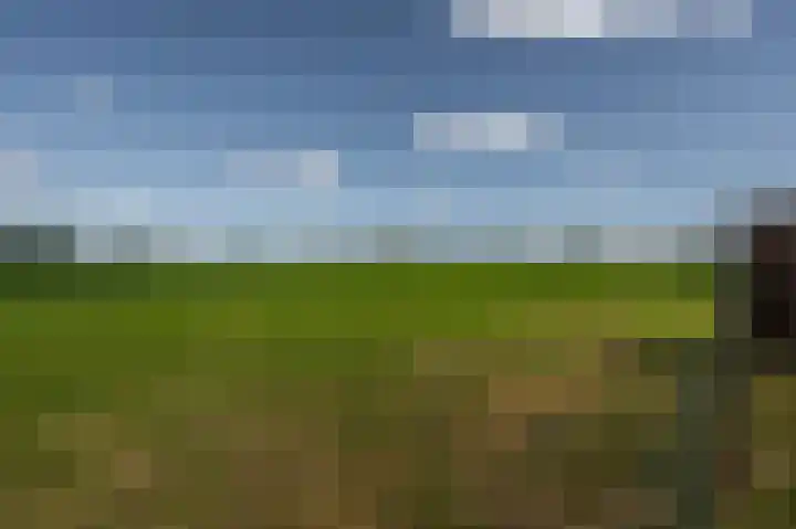 Derrienk 4 A Biggekerke thumbnail 16