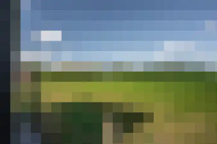 Derrienk 4 A Biggekerke thumbnail 17