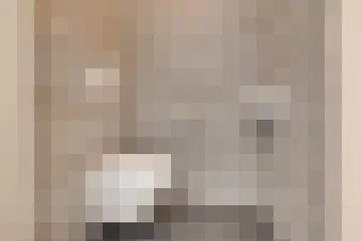 Derrienk 4 A Biggekerke thumbnail 19