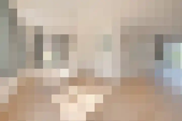 Derrienk 4 A Biggekerke thumbnail 21