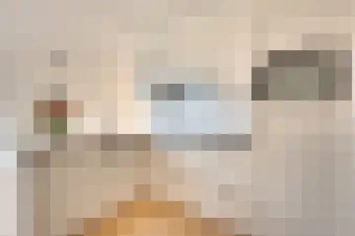 Derrienk 4 A Biggekerke thumbnail 25