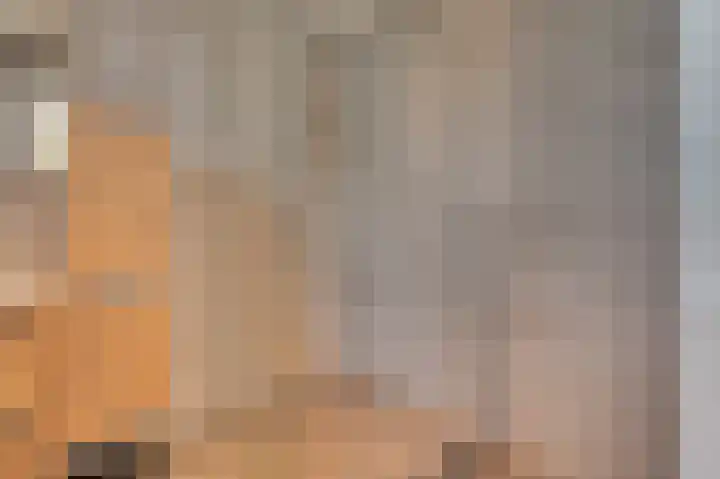 Derrienk 4 A Biggekerke thumbnail 33
