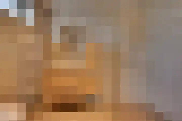 Derrienk 4 A Biggekerke thumbnail 34