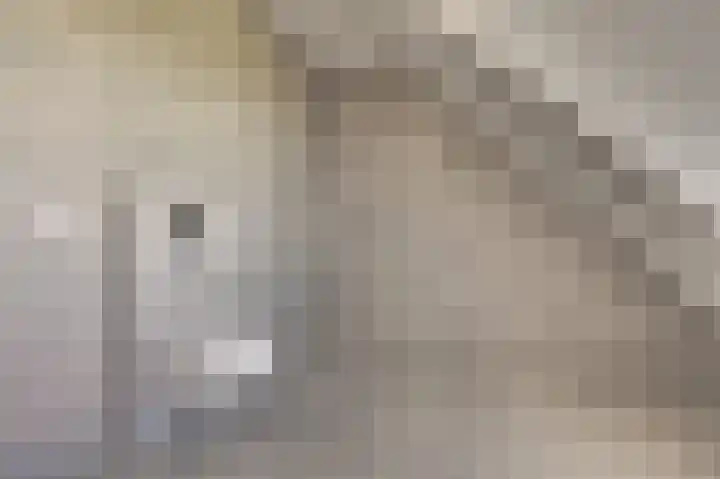 Derrienk 4 A Biggekerke thumbnail 41